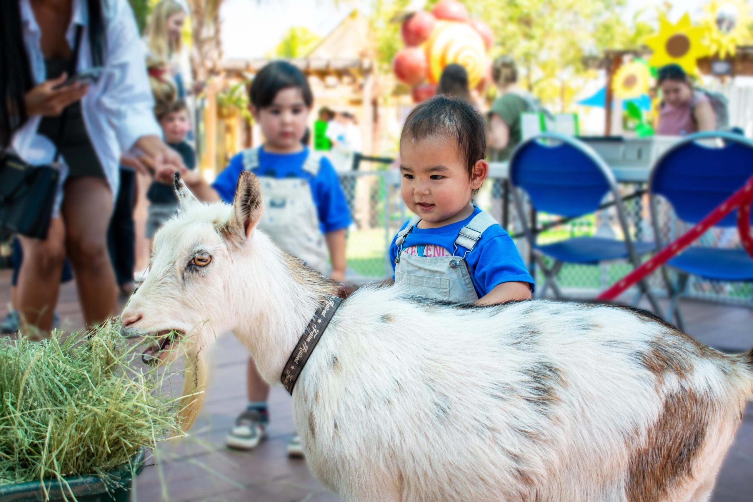 Fun Animal Friday kid with animal