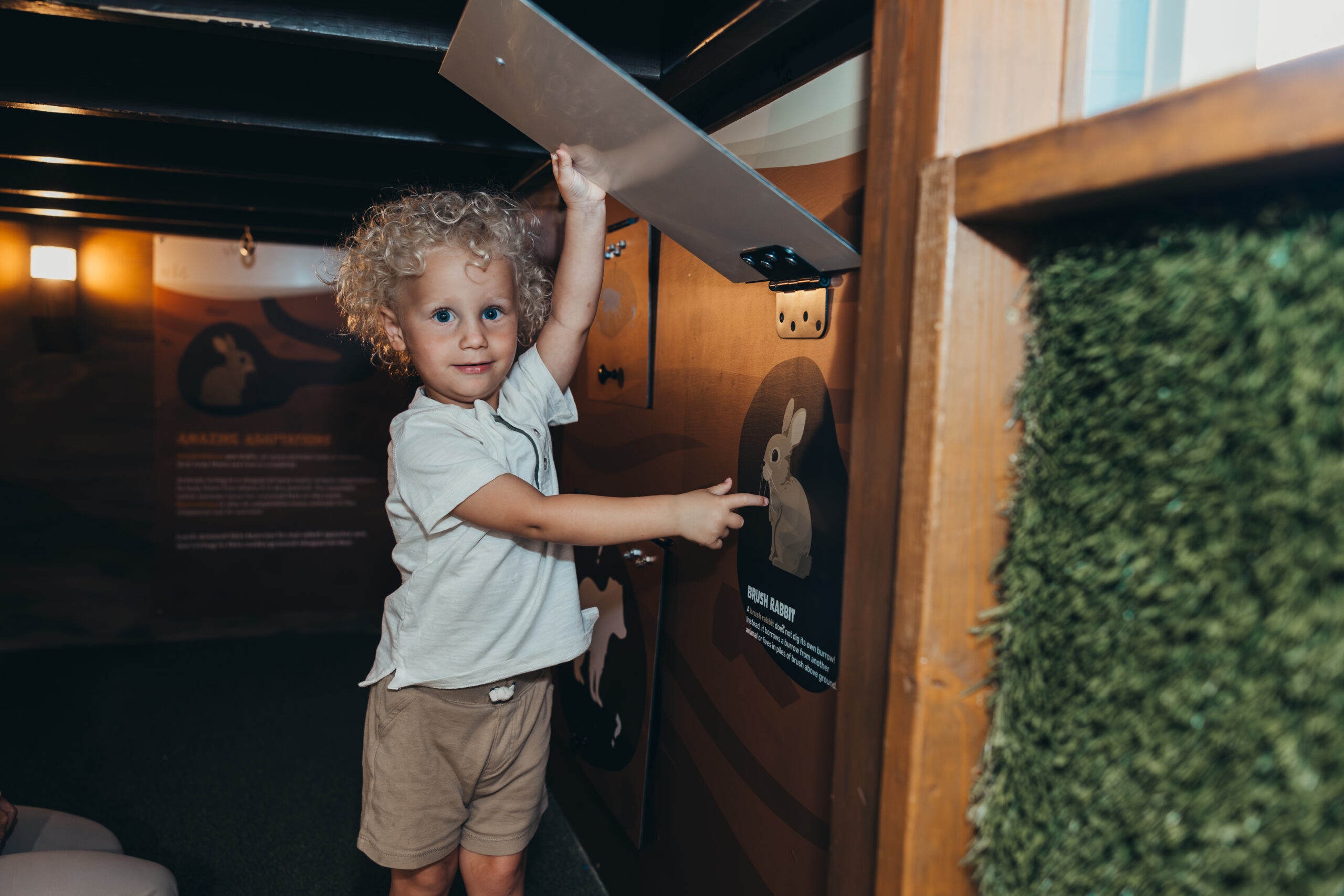 Child at SDCDM pointing to image of a rabbit