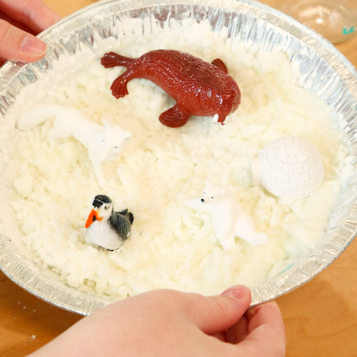 Final arctic sensory bin