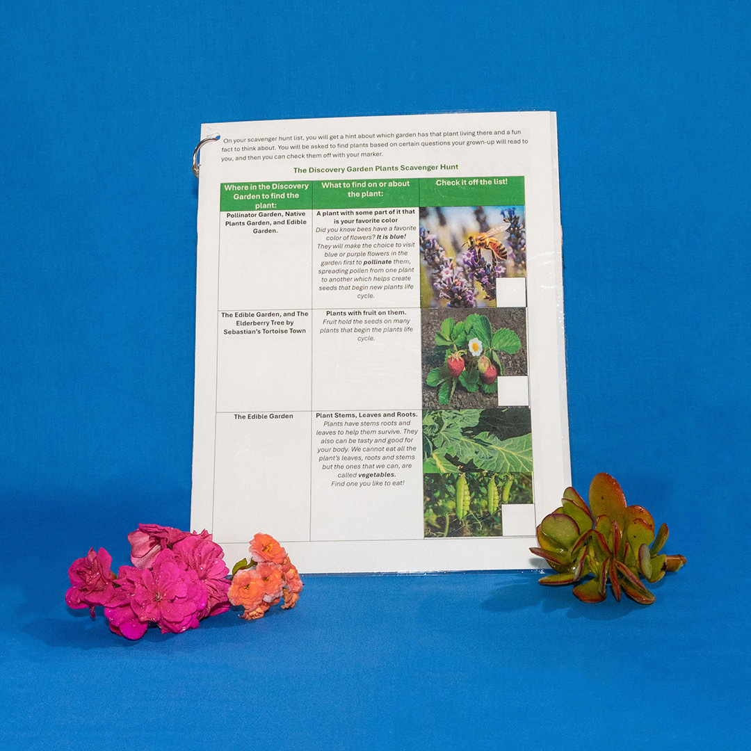 Garden Scavenger Hunt