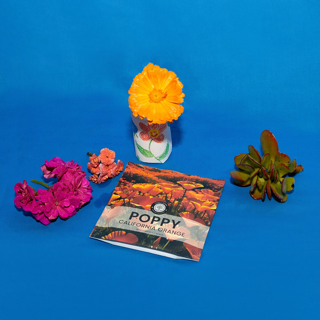 DIY paper pot