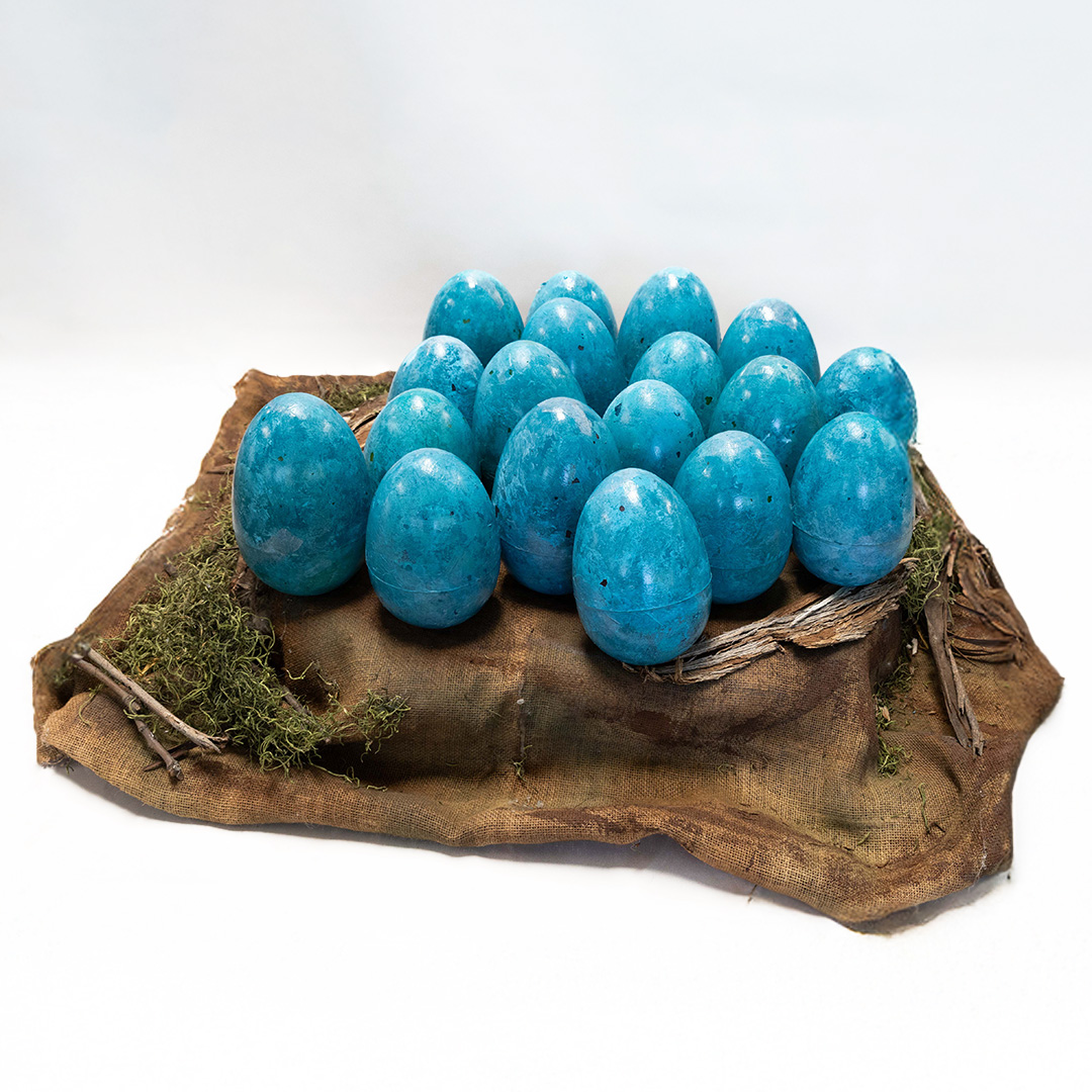 Dinosaur Egg Nest