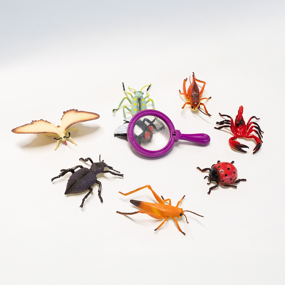 Bug Hunt