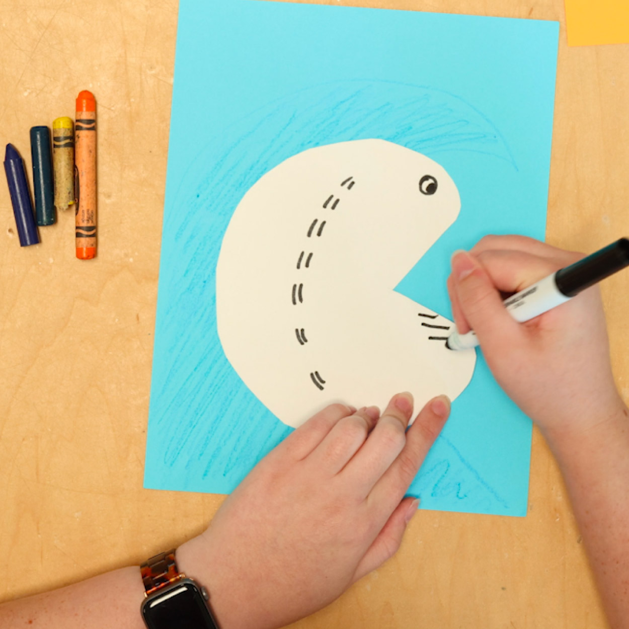 Use black marker for details