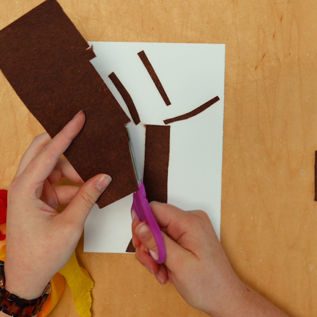 Cut trunk and branches