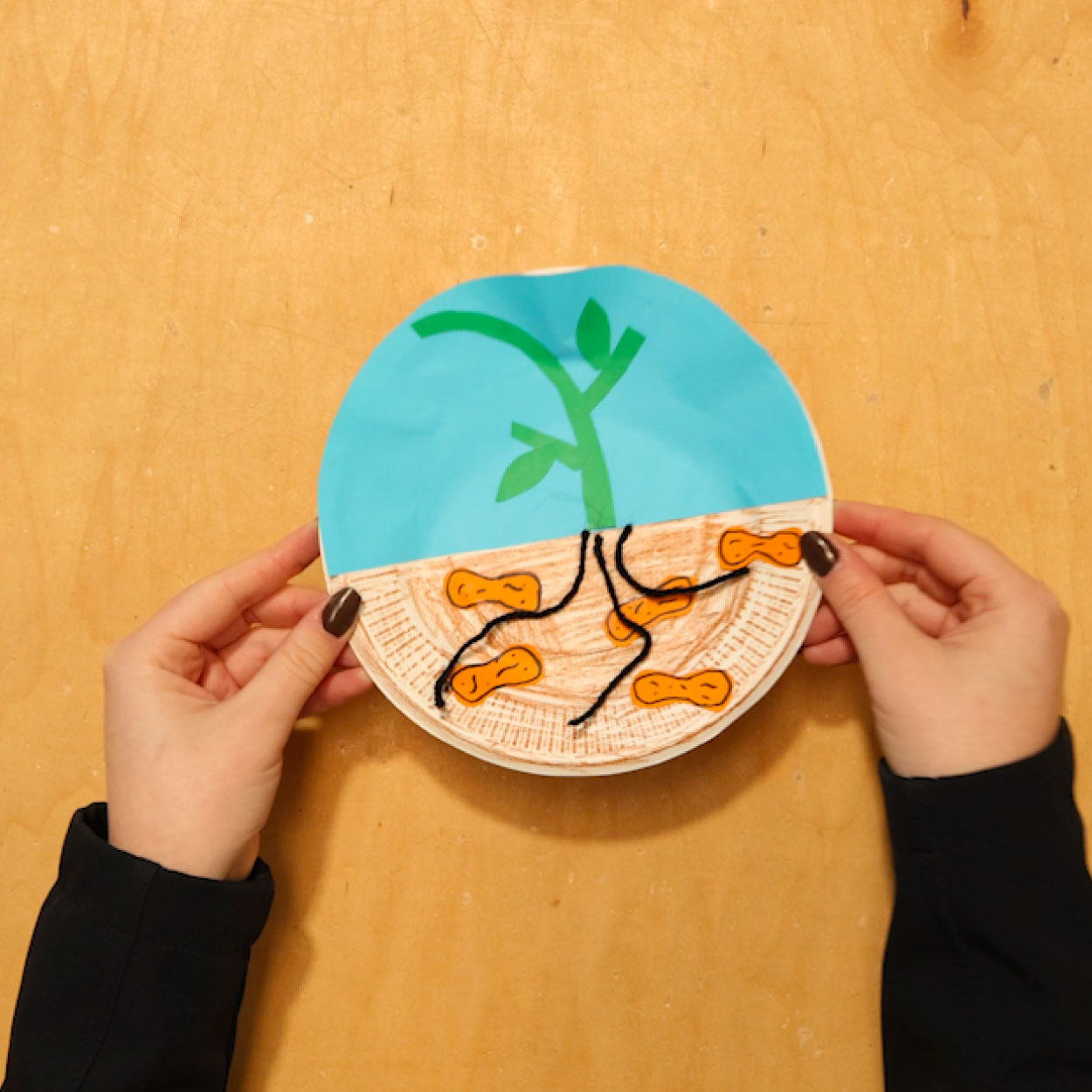 peanut Step-15 George Washington Carver Peanut Craft