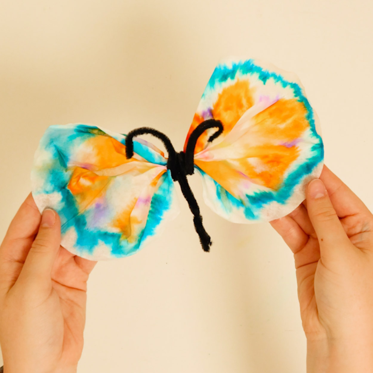 Coffee Butterfly Step-13 Coffee filter butterfly