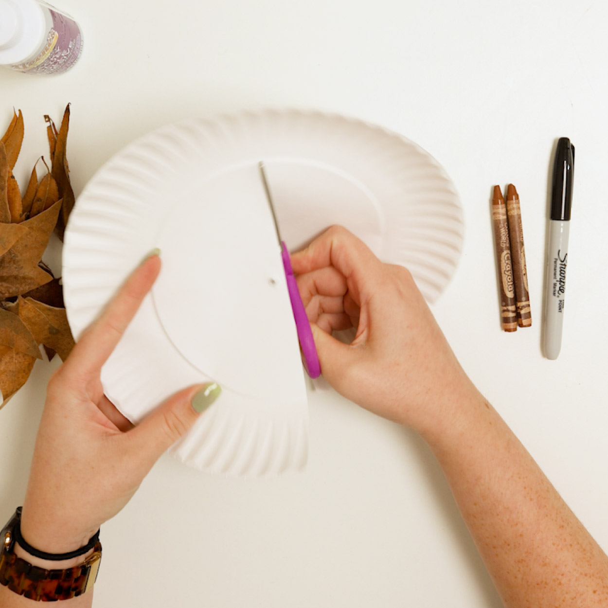 Cut paper plate in half